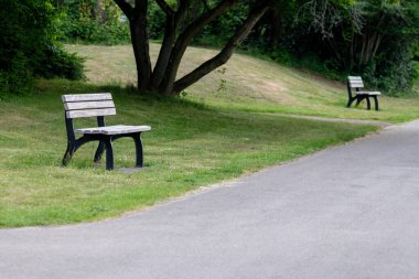 Yeşil boş parktaki banklar