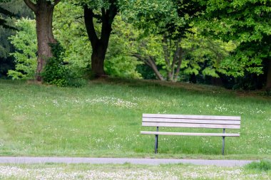 Yeşil boş parktaki bank