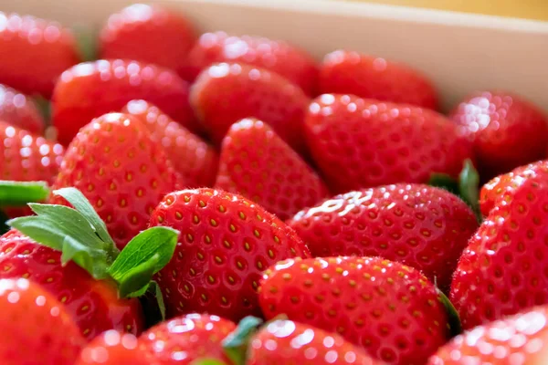 Many Organic Strawberries Background Shows Red Berries Seeds Food Background — Stock Photo, Image