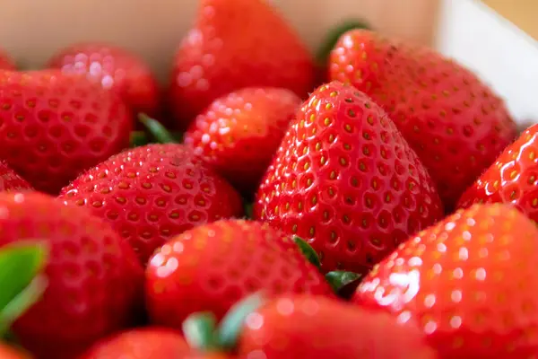 Many Organic Strawberries Background Shows Red Berries Seeds Food Background — Stock Photo, Image