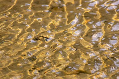 Kristal berrak bir su deresinin suyundaki ipeksi dalgalar, yüksek açılı doğal arka plan, temiz yüzen bir dereyle sağlıklı bir dağ pınarındaki zen meditasyonunu ve küçük dalgaları gösterir.