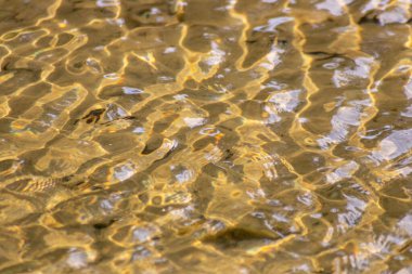 Kristal berrak bir su deresinin suyundaki ipeksi dalgalar, yüksek açılı doğal arka plan, temiz yüzen bir dereyle sağlıklı bir dağ pınarındaki zen meditasyonunu ve küçük dalgaları gösterir.