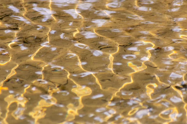 Seidige Wellen Wasser Eines Kristallklaren Wasserbaches Als Idyllische Naturkulisse Mit — Stockfoto