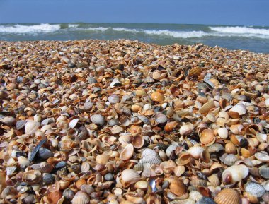 Rusya, Krasnodar Toprakları, Azov Denizi