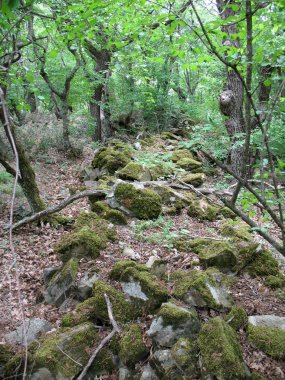 Konum - Rusya, Krasnodar Bölgesi, Durso Köyü Bölgesi