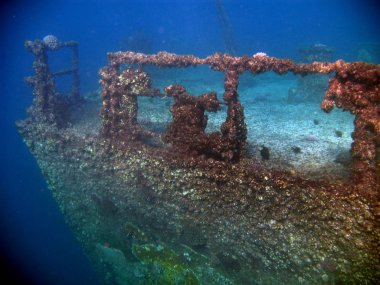 Yer- Mısır, Sina Yarımadası, Milyon Umut - Kızıldeniz 'in en büyük enkazı