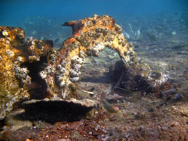 Posizione Egitto Penisola Del Sinai Milioni Speranza Più Grande Relitto — Foto Stock