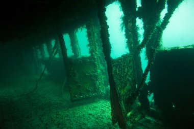 Konumu Karadeniz, Novorossiysk yakınlarında. SSCB 'nin en büyük su trajedisi, geminin ölümü 