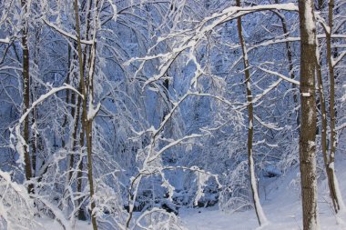 Rusya 'nın güneyinde, Adygea Cumhuriyeti dağlarında, harika yürüyüşler ve günlük geziler yapma zamanı..