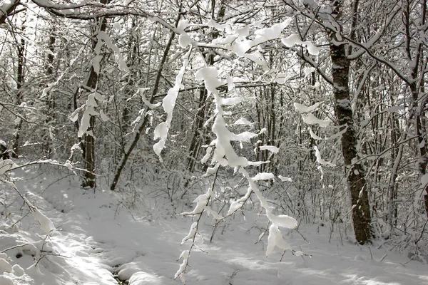 Winter Süden Russlands Den Bergen Der Republik Adygäa Zeit Für — Stockfoto
