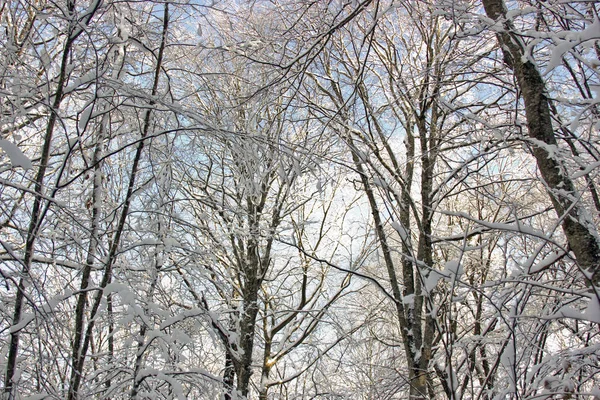 在俄罗斯南部的冬天 在Adygea共和国的山上 散步和日光浴的时间 — 图库照片