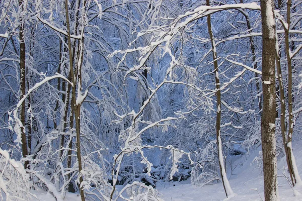 Winter Süden Russlands Den Bergen Der Republik Adygäa Zeit Für — Stockfoto
