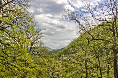 Kuzey Kafkasya 'da bulunan Adygea Cumhuriyeti' nin şaşırtıcı doğal dünyası çeşitli bölgelerden turistleri cezbeder.