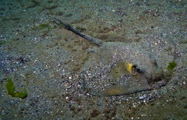Konum Rusya, Krasnodar Bölgesi, Burun Bolşoy Utrişi