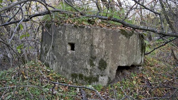 Jusqu Présent Dans Sud Russie Divers Artefacts Structures Guerre 1941 — Photo