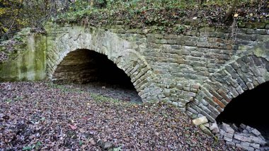 Benzersiz bir yapı - Laba Nehri üzerindeki eski bir köprü, 80 yıl sonra, kanalı değiştirdikten sonra, şimdi ormanda.