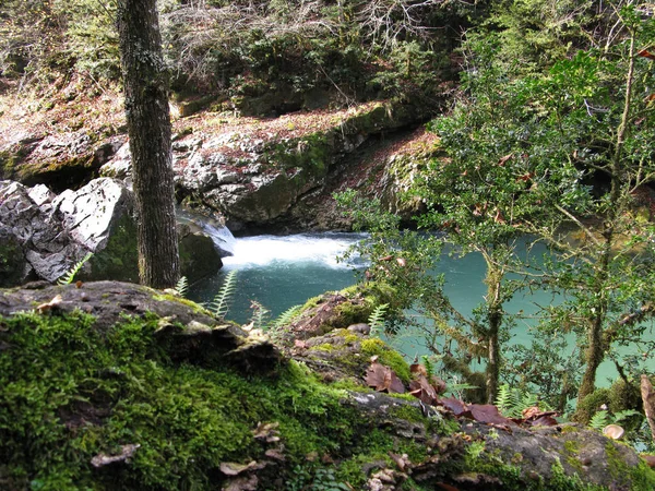 Krasnodar Bölgesi Absheron Bölgesi Mezmay Köyü Rusya Kürdzhips Nehri — Stok fotoğraf