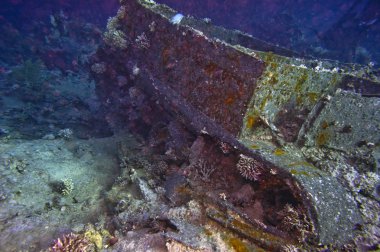 Yer Mısır, Kızıl Deniz, Sharm El Sheikh, dalış alanı Kahraba. Arap-İsrail savaşından motorlu takozlar.