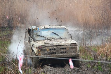 Rusya, Krasnodar Bölgesi, Voronezh köyü. Bataklıklarda off-road araba yarışmaları