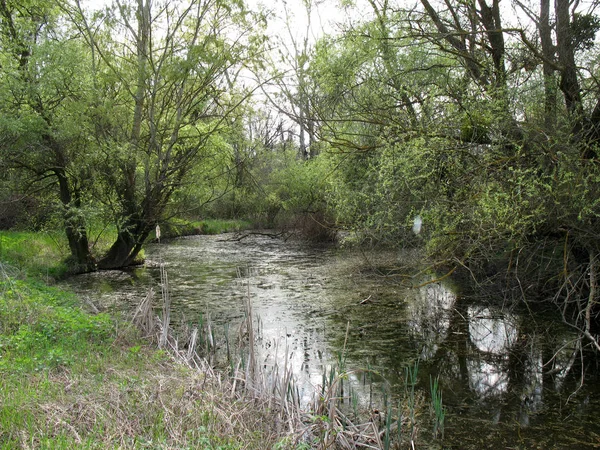 Posizione Sud Della Russia Natura Delle Regioni Meridionali Piuttosto Varia — Foto Stock