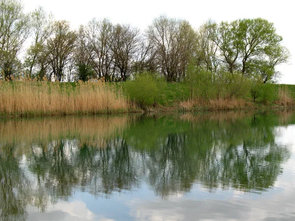 Locatie Ligt Ten Zuiden Van Rusland Natuur Van Zuidelijke Regio — Stockfoto