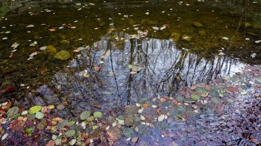 Dağlarda sonbahar sessiz güzelliğiyle çarpıyor. Konum Adigea, Rusya.