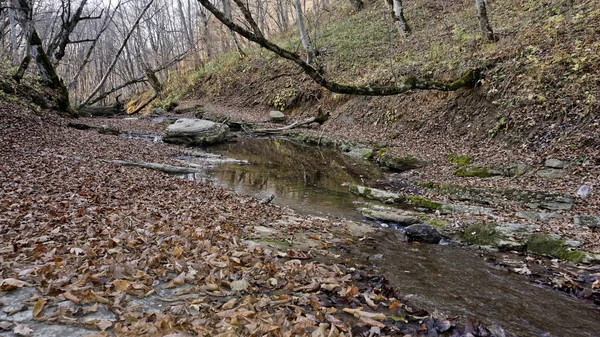 Ősz Hegyekben Feltűnő Maga Csendes Szépségében Location Adygea Oroszország — Stock Fotó