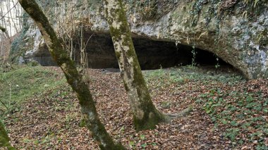 Dağlarda sonbahar sessiz güzelliğiyle çarpıyor. Konum Adigea, Rusya.