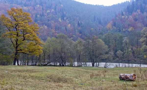 Localização Rússia Karachay Cherkess Republic República Famosa Não Pela Beleza — Fotografia de Stock