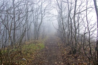 Rusya 'nın güneyindeki Novorossiysk ve Gelendzhik' in çevresi, doğaları ve dağlarla ve denizle bağlantılı güzel yerleriyle şaşkına dönmüş durumda..