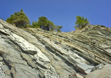 Rusya 'nın güneyinde, Karadeniz' de, Gelendzhik şehrinin yakınlarında.