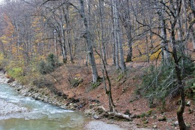 Guam Gorge Doğal Anıtı, Rusya 'nın tüm bölgelerinden gelen turistler için popüler bir yerdir. Konum-Absheron bölgesi.