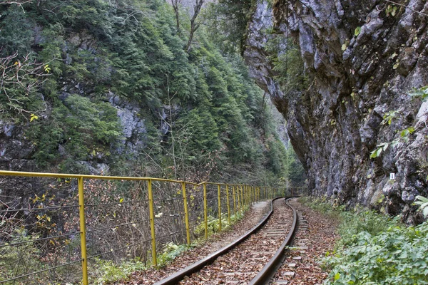 Guam Gorge Doğal Anıtı, Rusya 'nın tüm bölgelerinden gelen turistler için popüler bir yerdir. Konum-Absheron bölgesi.