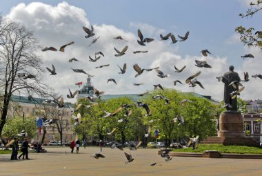 Adygea Cumhuriyeti, Rusya bölgesi. Cumhuriyetin başkenti Maykop şehridir..