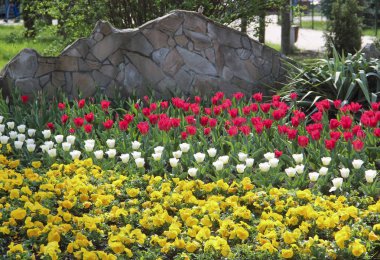 Adygea Cumhuriyeti, Rusya bölgesi. Cumhuriyetin başkenti Maykop şehridir..