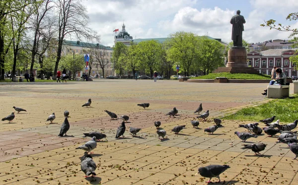 Plats Ryssland Republiken Adygea Huvudstaden Republiken Staden Maykop — Stockfoto