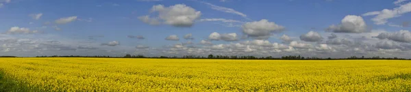 Localização República Adygea Rússia — Fotografia de Stock