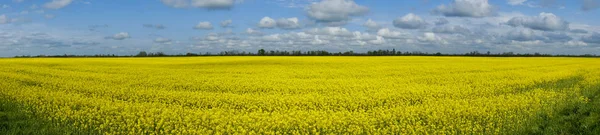 Plats Republiken Adygea Ryssland — Stockfoto