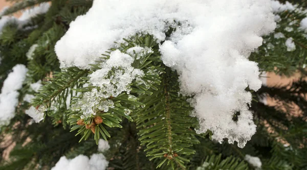 Posizione Russia Territorio Krasnodar Città Ust Labinsk Dicembre — Foto Stock