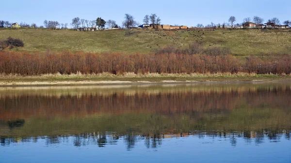 Localisation Plaine Inondable Rivière Kuban Russie Territoire Krasnodar Près Ville — Photo