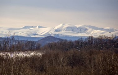 Güney Rusya 'daki Kuzey Kafkasya el değmemiş doğasıyla zengindir..