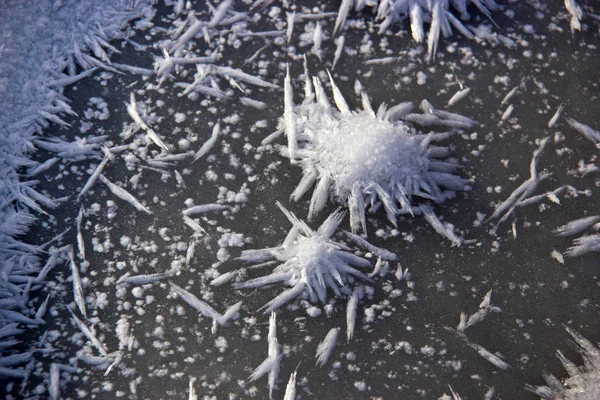 Caucaso Settentrionale Nel Sud Della Russia Ricco Della Sua Natura — Foto Stock