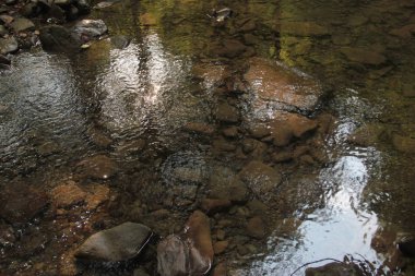 Off-road gezilerinin aşıkları kulübü, erkeklerin sadece arabalarını test etmelerine değil, aynı zamanda doğada kendi çevrelerinde zaman geçirmelerine de izin verir..
