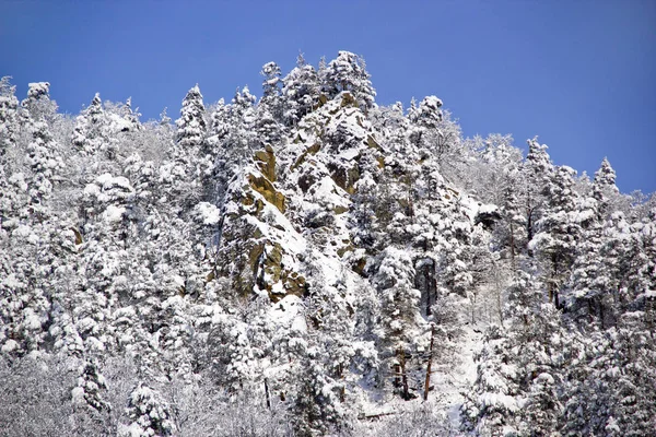 Zimní Turistika Horách Přírodě Zdraví Prospěšná Výchovná Lokalita Republika Adygea — Stock fotografie