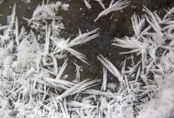 Las Caminatas Invierno Las Montañas Mejoran Salud Son Naturaleza Educativa — Foto de Stock