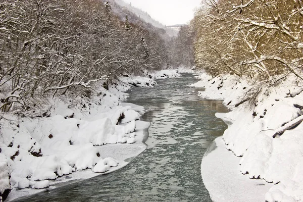 Dağlarda kış yürüyüşü sağlık iyileştirme ve doğada eğitici. Konum - Adygea Cumhuriyeti.