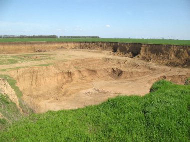 Yer Rusya, Krasnodar Bölgesi, Ust-Labinsky Bölgesi. Rusya 'nın güneyi tarımın ve buğday, çavdar, mısır gibi tahıl ürünlerinin yetiştirildiği ana bölgedir..