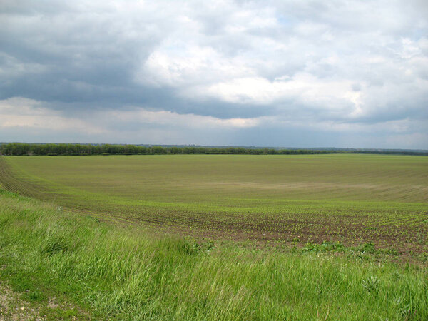 Место нахождения - Россия, Краснодарский край, Усть-Лабинский район. Юг России является основным регионом сельского хозяйства и выращивания зерновых культур, таких как пшеница, ржи, кукуруза
.