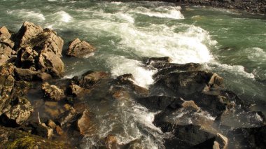           Kuzey Kafkasya 'nın dağ nehirleri, güçlü akıntılarında, soğuk ve berrak sularında diğerlerinden farklıdır. Konum Adigea, Belaya Nehri.                     