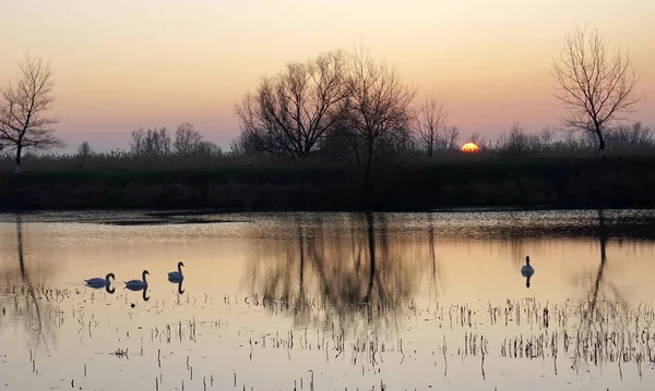 Sunset photography. The most difficult and interesting. Location-Russia, Krasnodar Territory, the city of Ust-Labinsk.